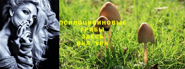 шишки Волосово