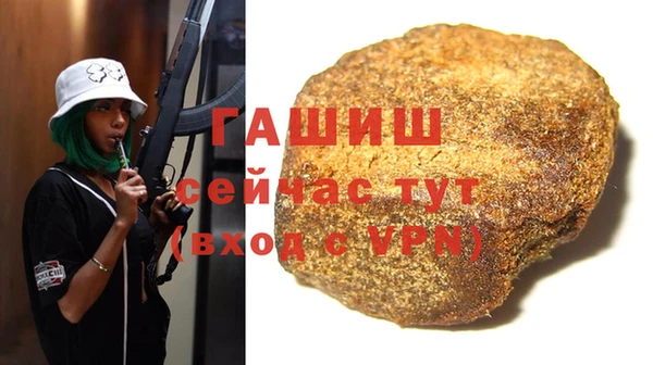 прущие грибы Вяземский