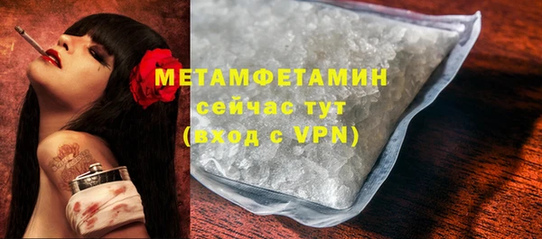 прущие грибы Вяземский